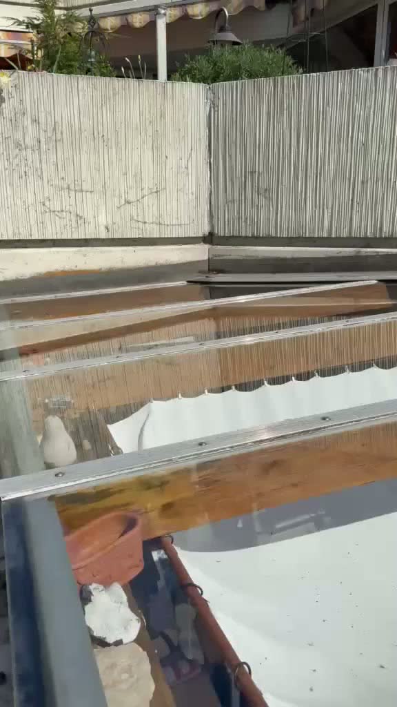 Spiegelnde Fensterscheibe nach streifenfreier Fensterreinigung in Calden
